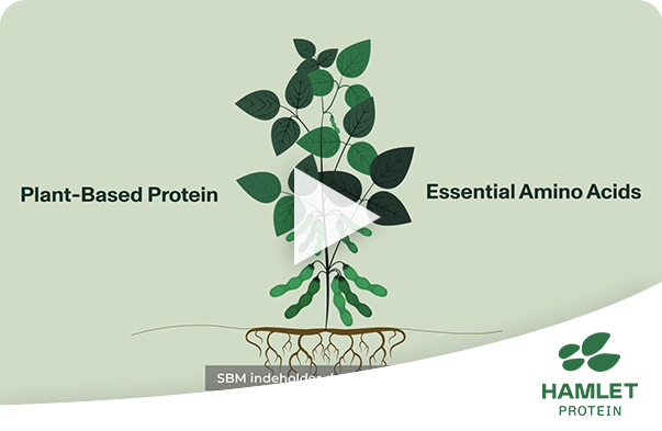 Hamlet protein havde brug for en animeret explainervideo til at forklare deres komplekse budskab.